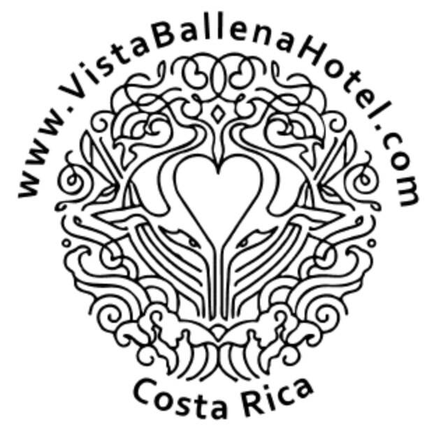 Vista Ballena