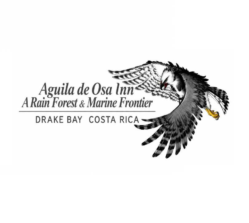 Águila de Osa