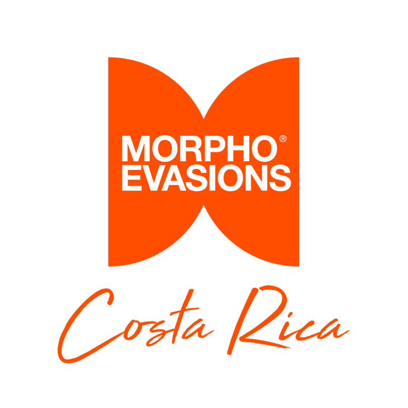 Morpho Costa Rica